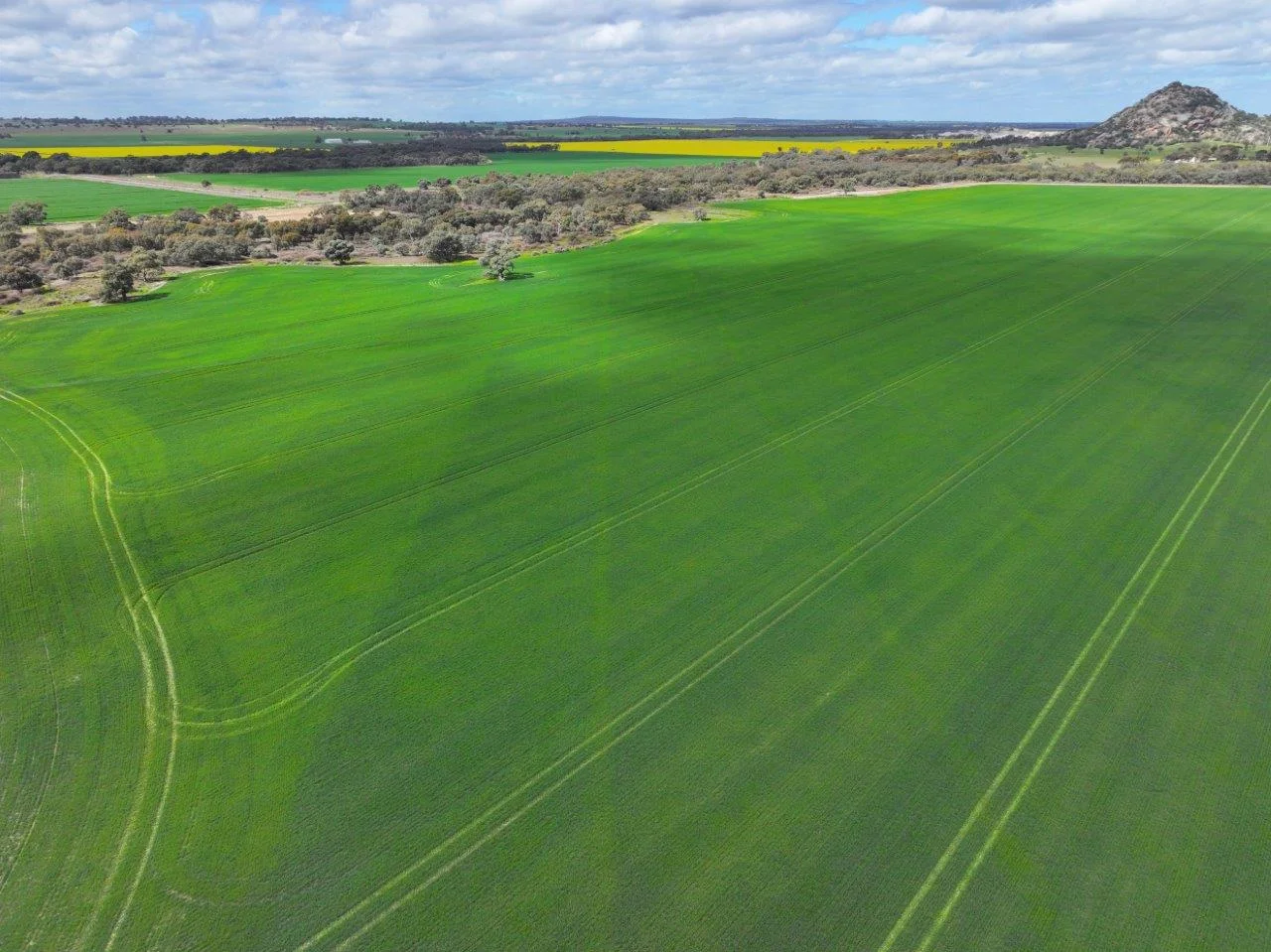 Additional image 17 of - Oneil Street, Pyramid Hill VIC 3575