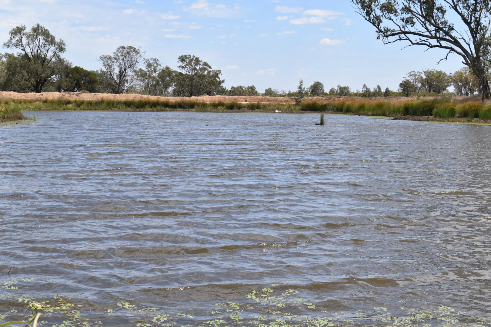 Additional image 6 of "Savannah" 438 Megine Road, Roma QLD 4455