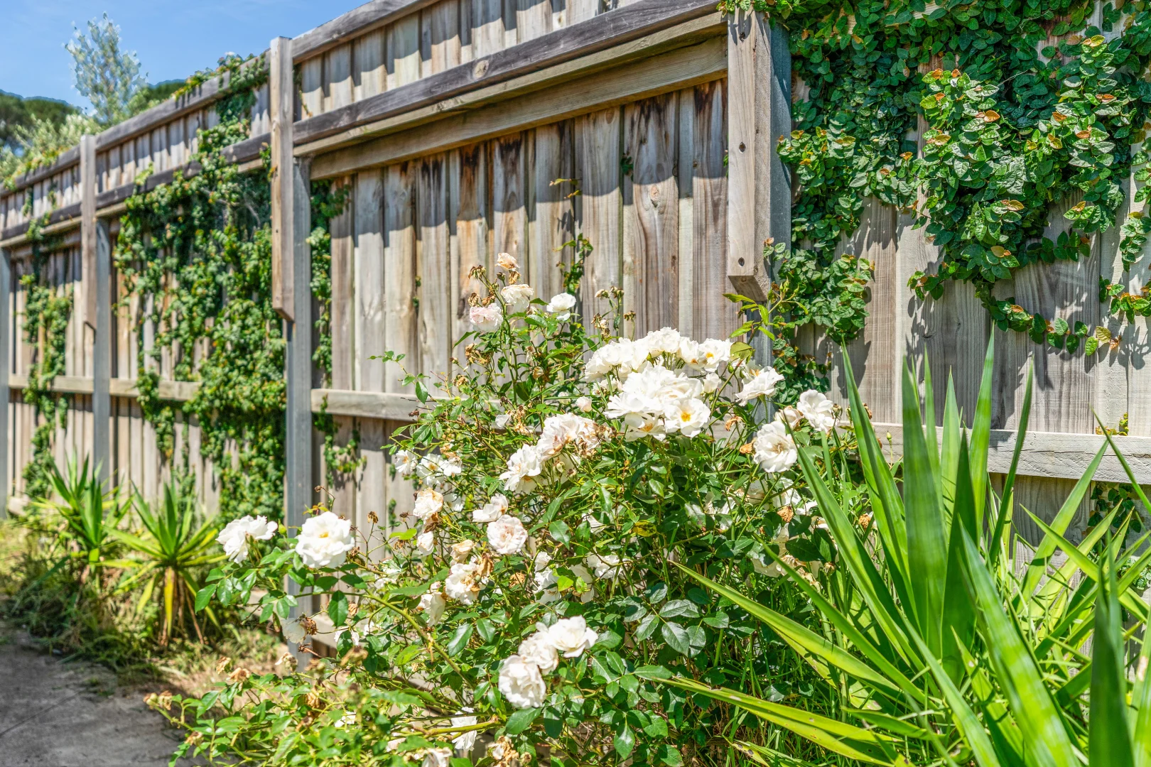 Additional image 14 of 61 Challoner Rise, Renwick NSW 2575