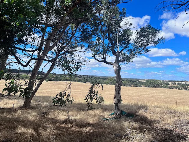 Additional image 7 of 194 Talbot Hall Road, Talbot WA 6302