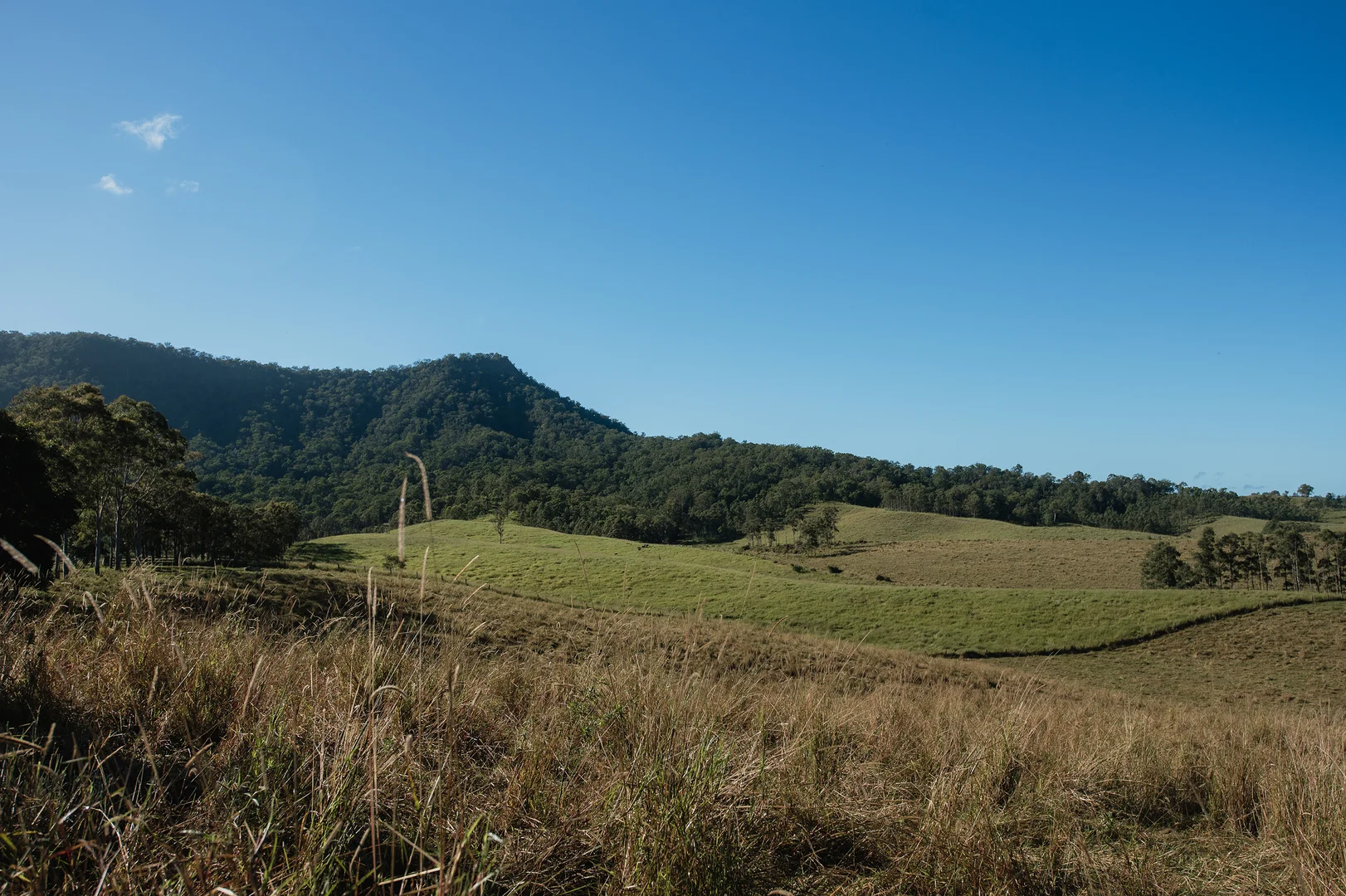 Additional image 11 of Lynches Creek Road, Wiangaree NSW 2474