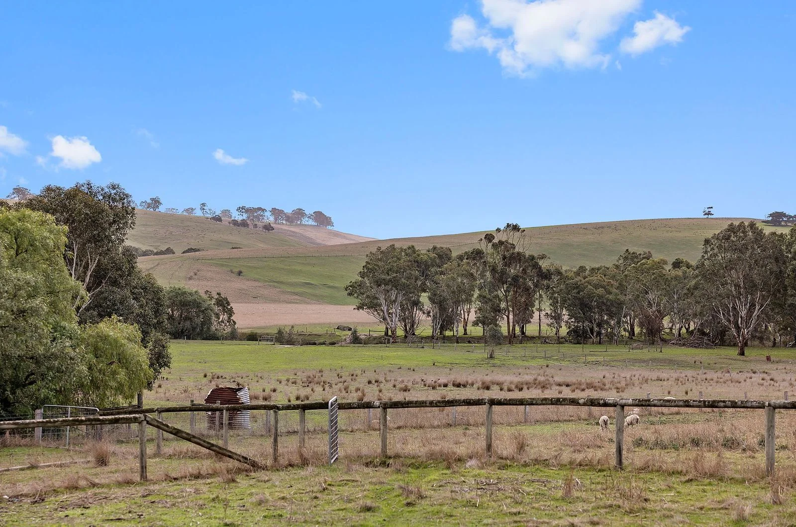 Additional image 14 of 3148 Cavendish-Coleraine Road, Coleraine VIC 3315