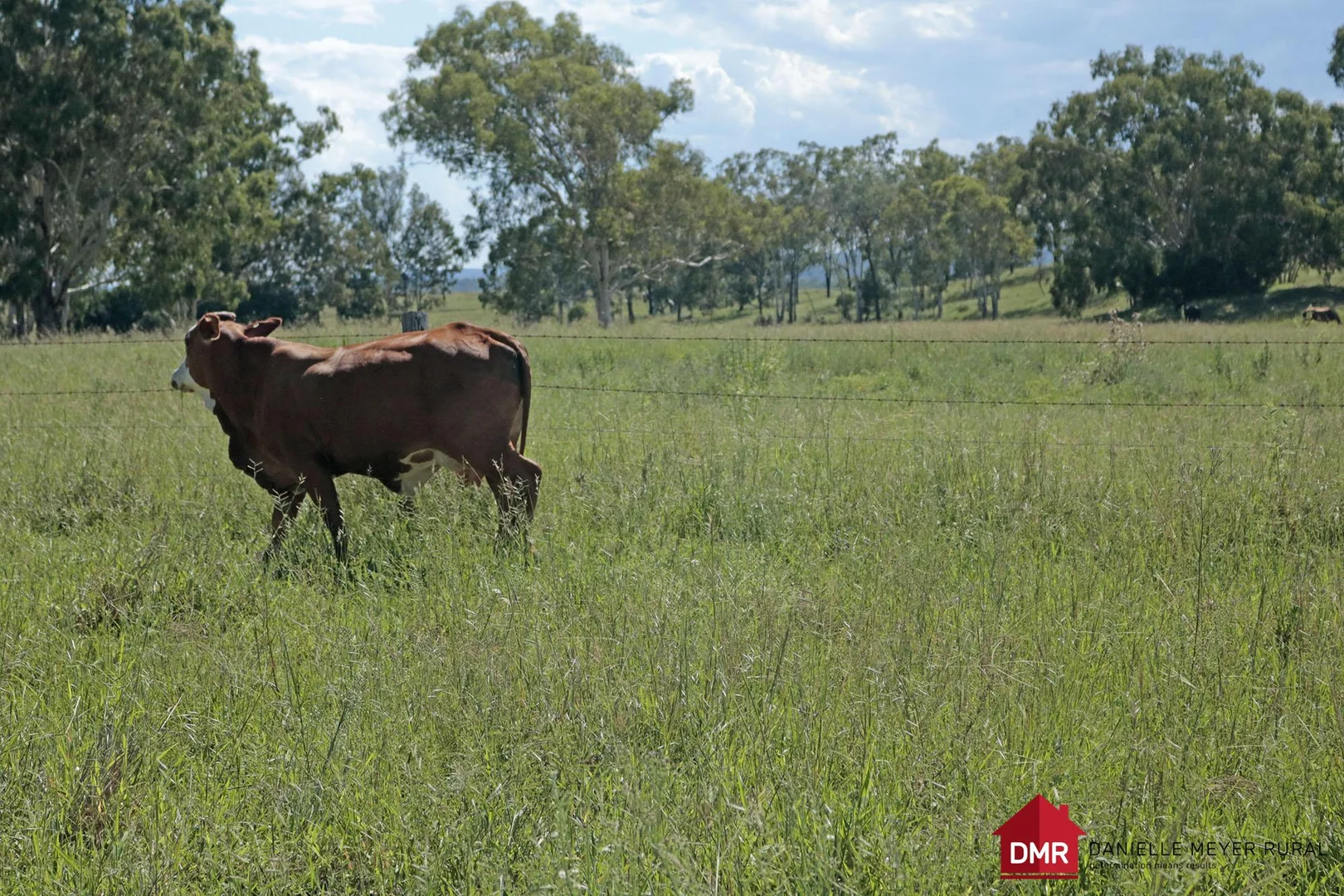 Additional image 25 of 95 Monto Mount Perry Road, Tellebang QLD 4630