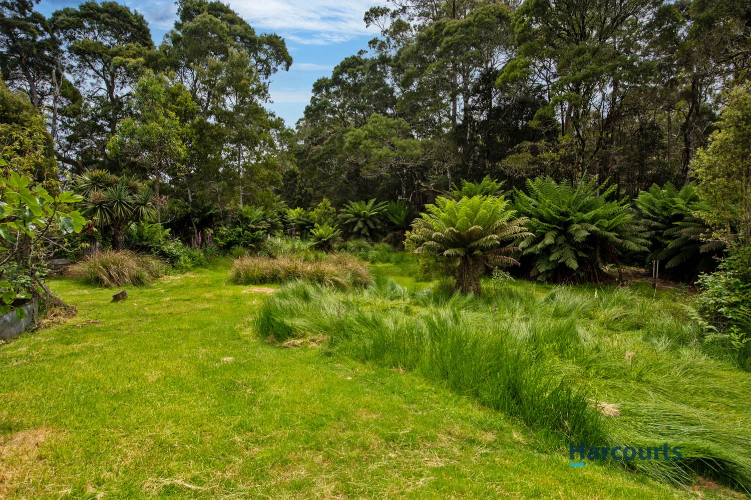 Additional image 14 of 3 Vivian Street, Strahan TAS 7468