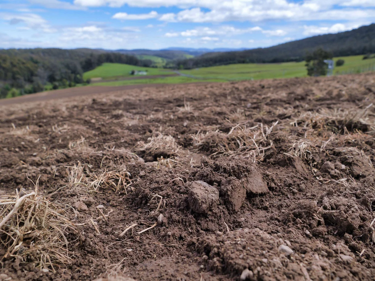 Additional image 5 of 983 Bogan Road, Golden Valley TAS 7304