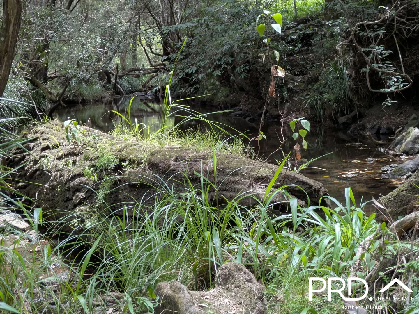 Additional image 6 of 130 Homeleigh Road, Homeleigh NSW 2474