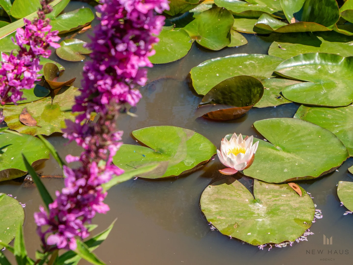 Additional image 22 of 4685 Channel Highway, Gordon TAS 7150