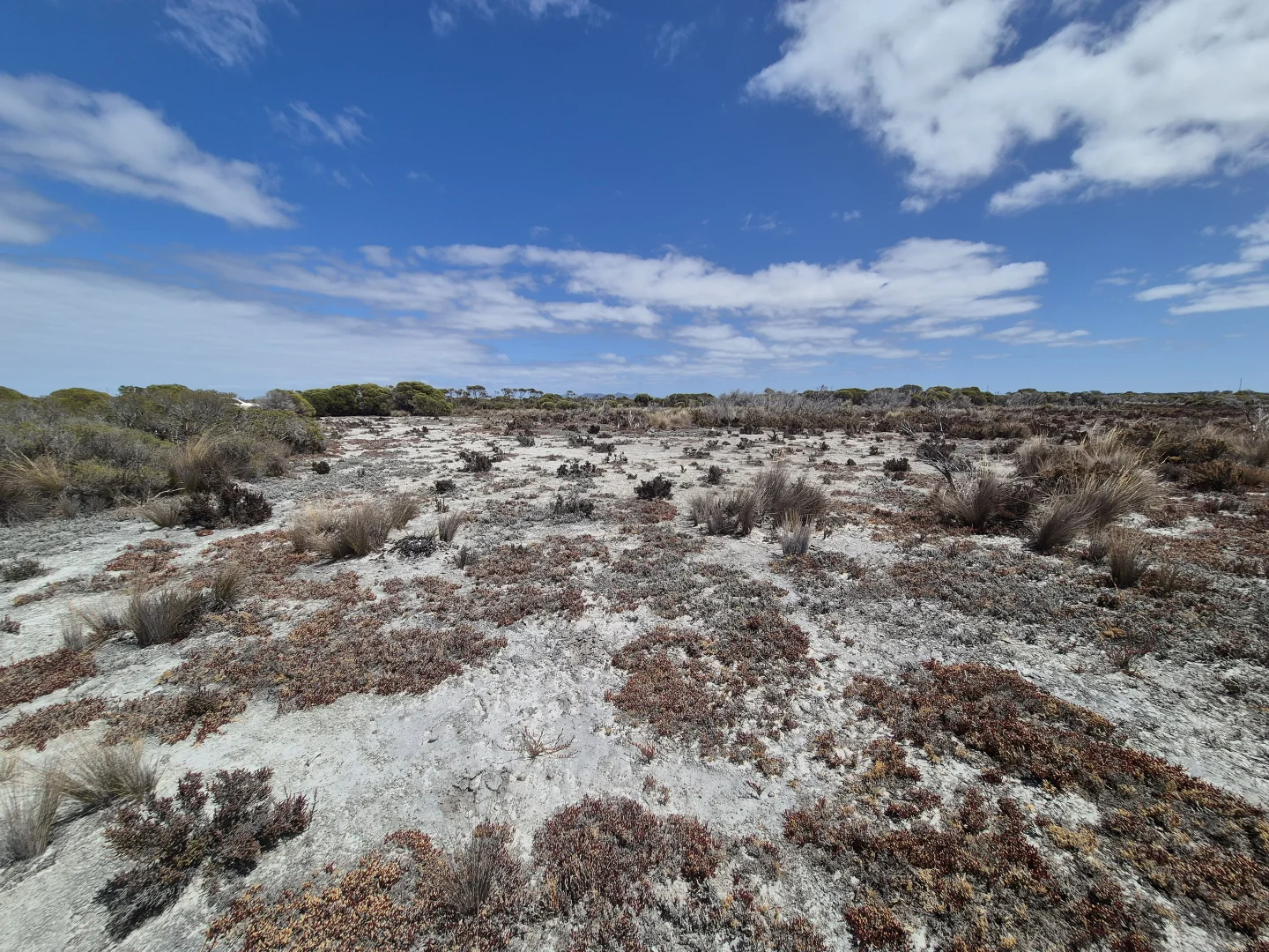 Additional image 22 of 344 Dotterel Drive, Hopetoun WA 6348