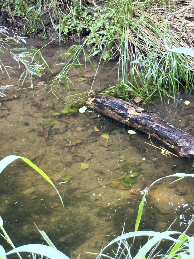 Additional image 11 of Burnett Highway, Goomeri QLD 4601