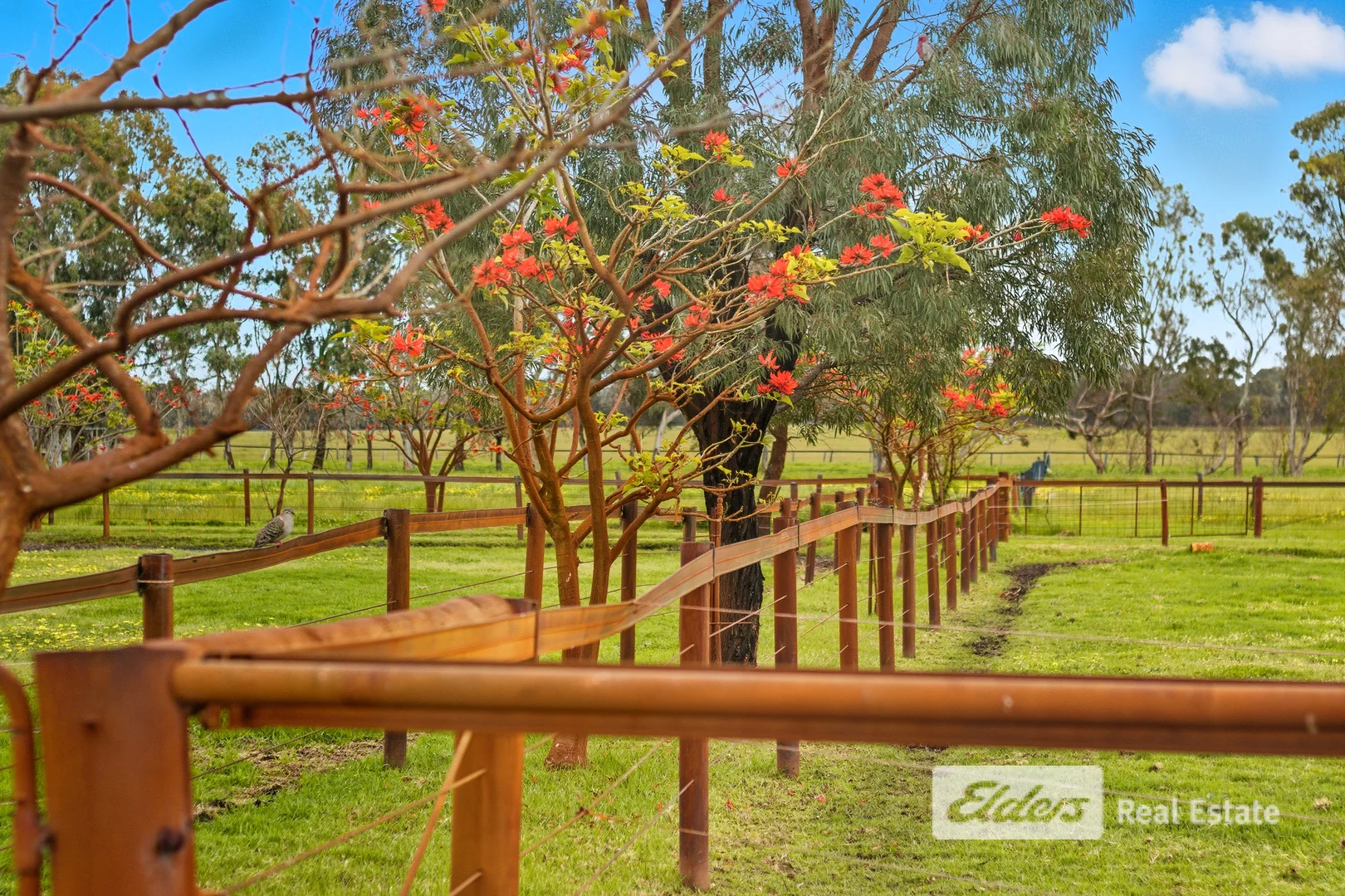 Additional image 19 of 212 Goodwood Road, Capel WA 6271