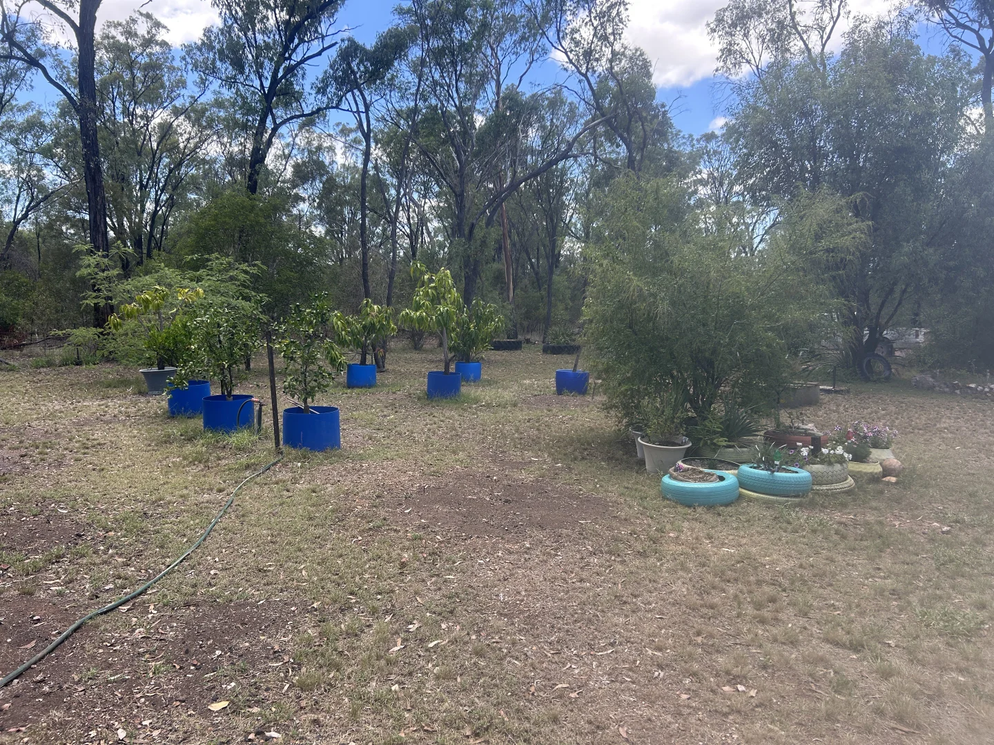 Additional image 24 of 1168 Males Drive, Tara QLD 4421