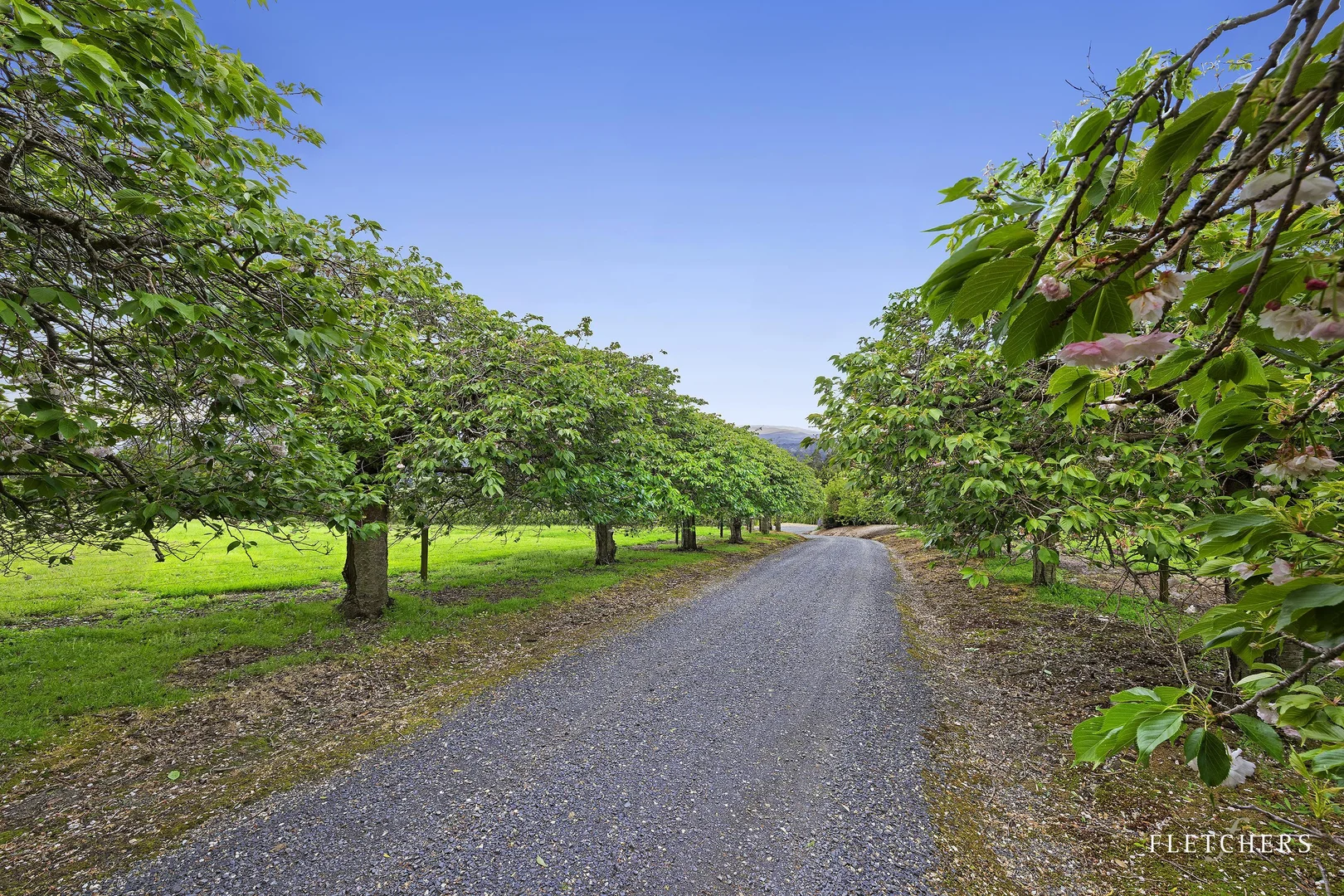 Additional image 5 of 92 Ridge Road, Kallista VIC 3791