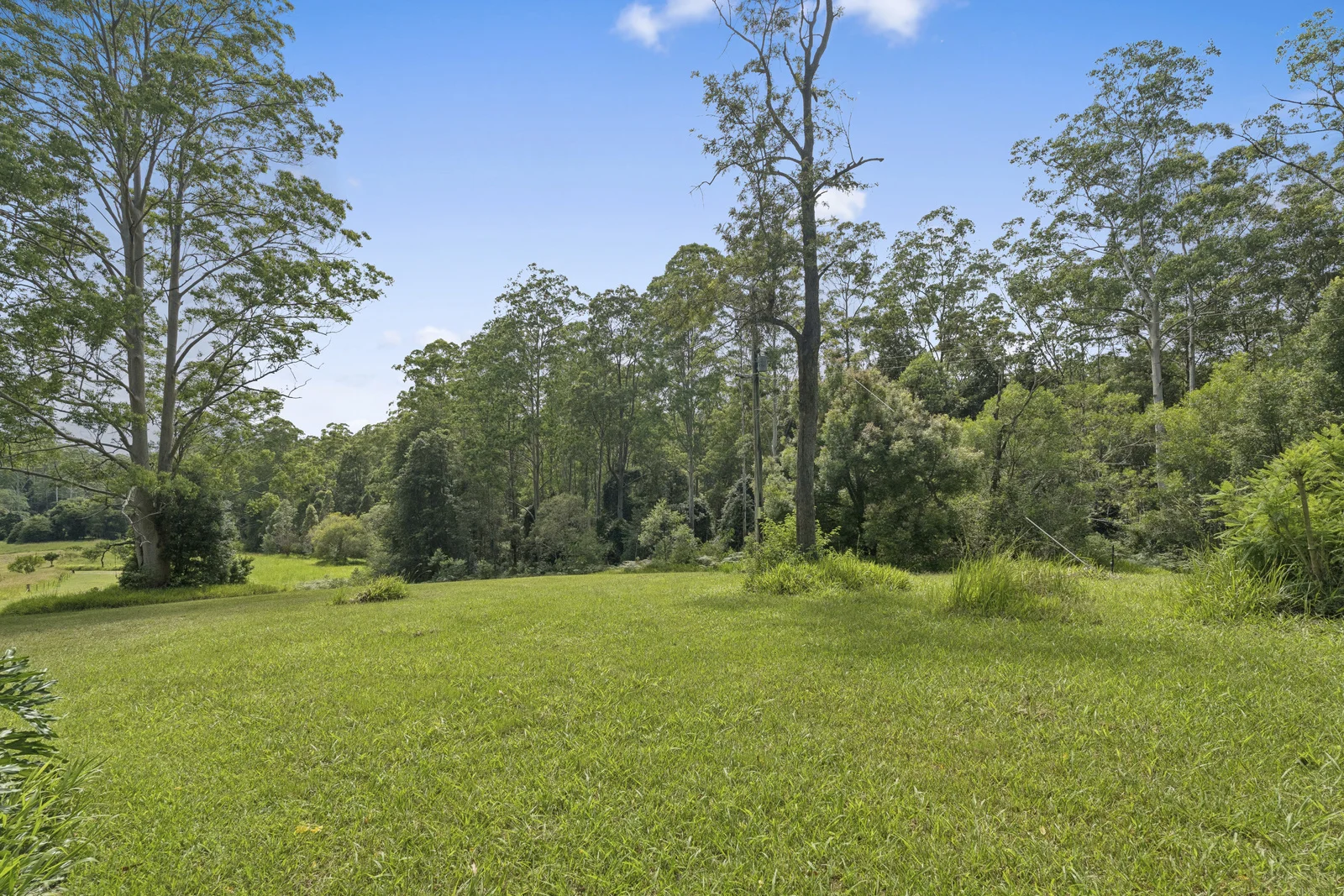 Additional image 22 of 121 Boggy Creek Road, Bellingen NSW 2454