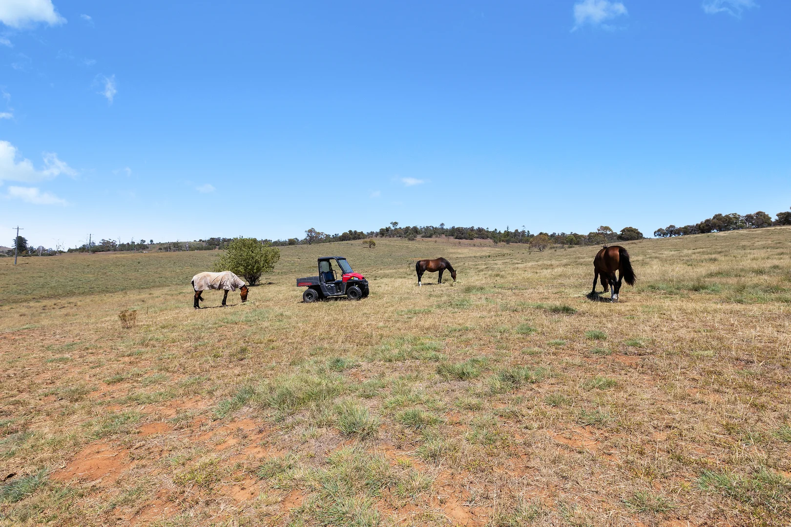 Additional image 16 of 12 Jindalee Street, Berridale NSW 2628