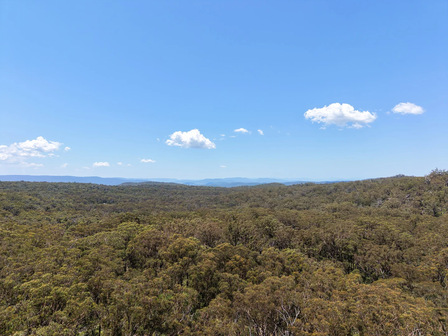 Additional image 20 of 86 Tableland Road, Tenterfield NSW 2372