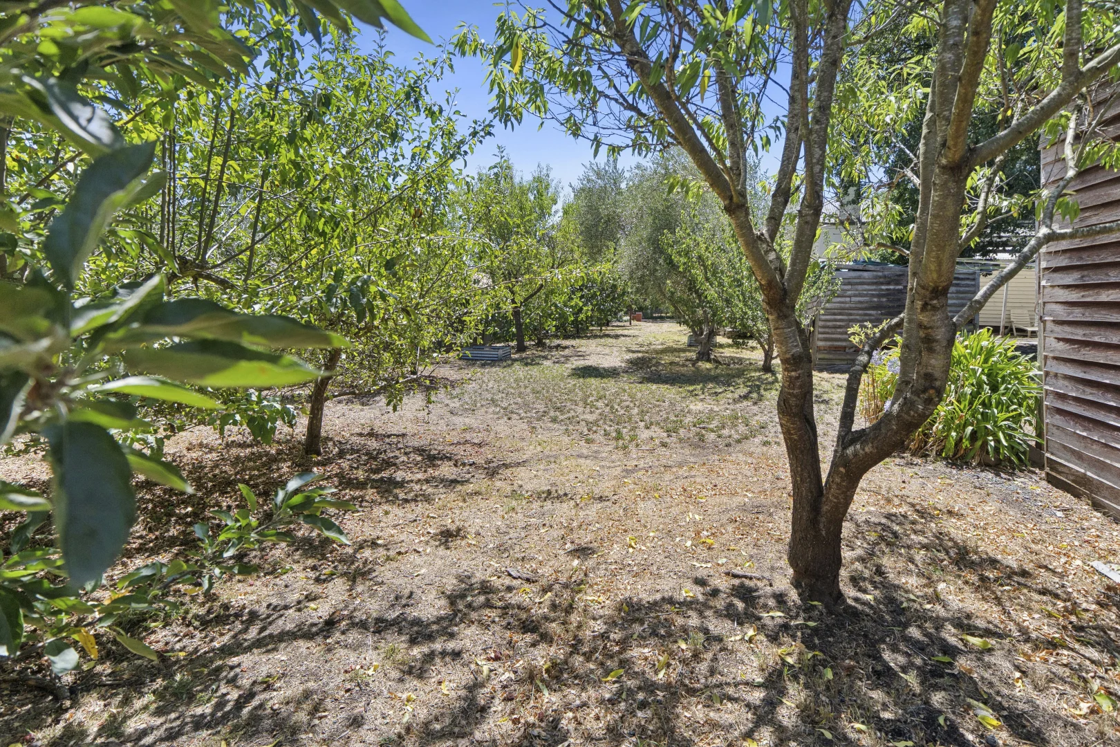 Additional image 11 of 29 Baynton Street, Kyneton VIC 3444