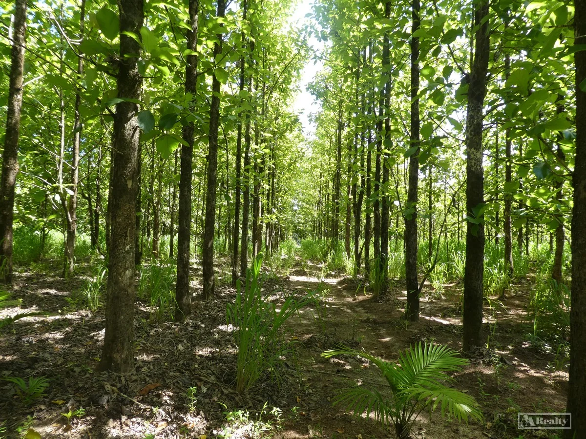 Additional image 13 of L 18 Camarlinghi Road, Daradgee QLD 4860