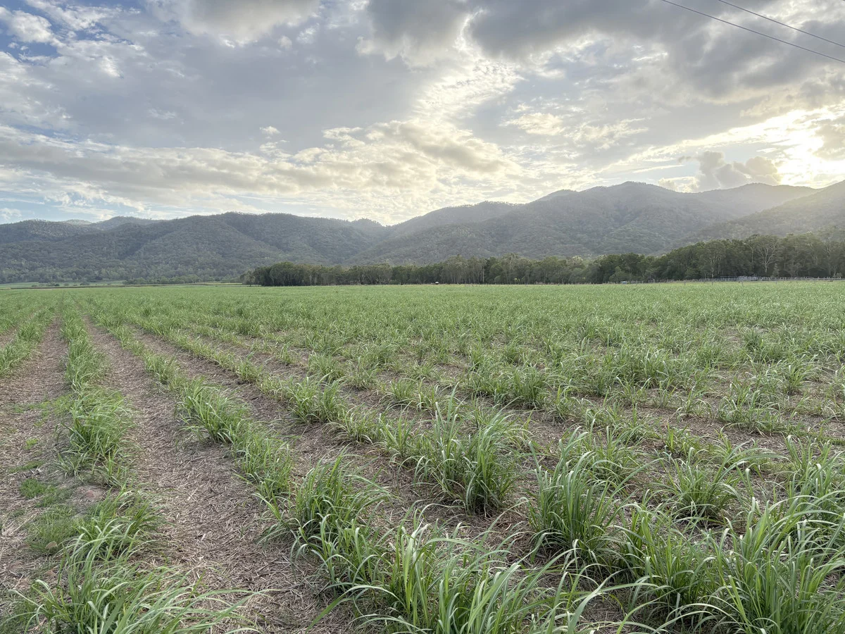 Additional image 4 of 2 Sievers Road, Oakenden QLD 4741