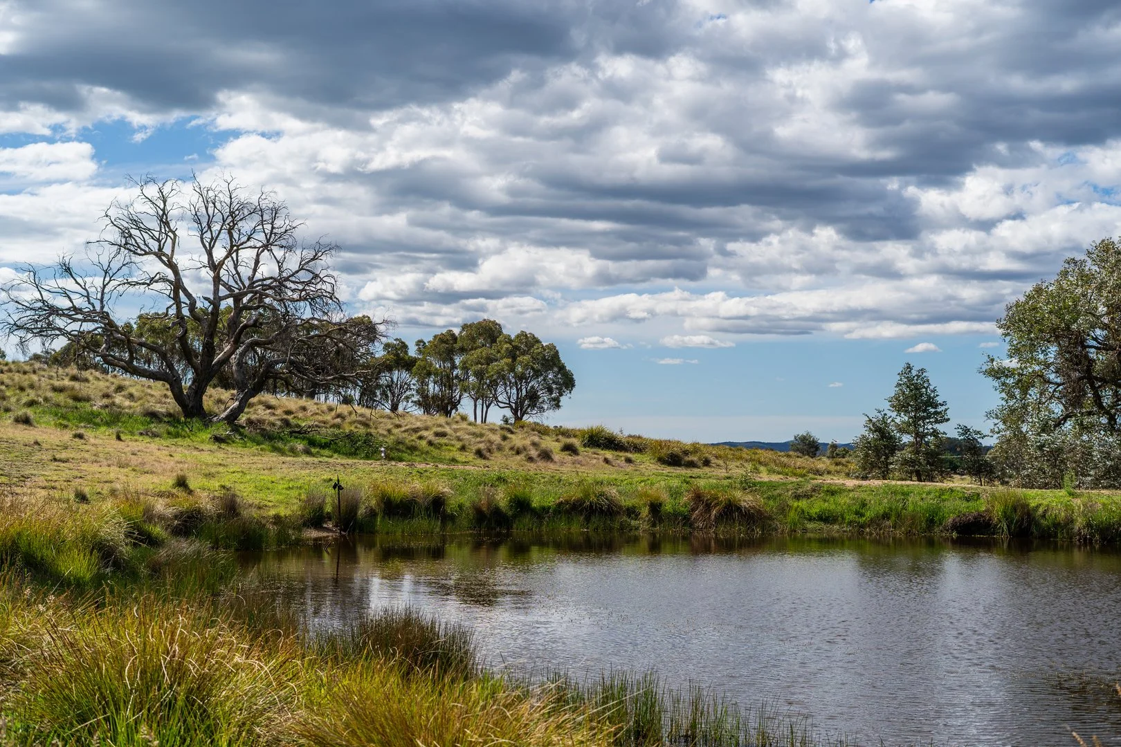 Additional image 15 of Lot 2 838 Murrumbateman Road, Nanima NSW 2582