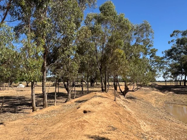 Additional image 19 of 43 Doggerts Lane, Wedderburn VIC 3518