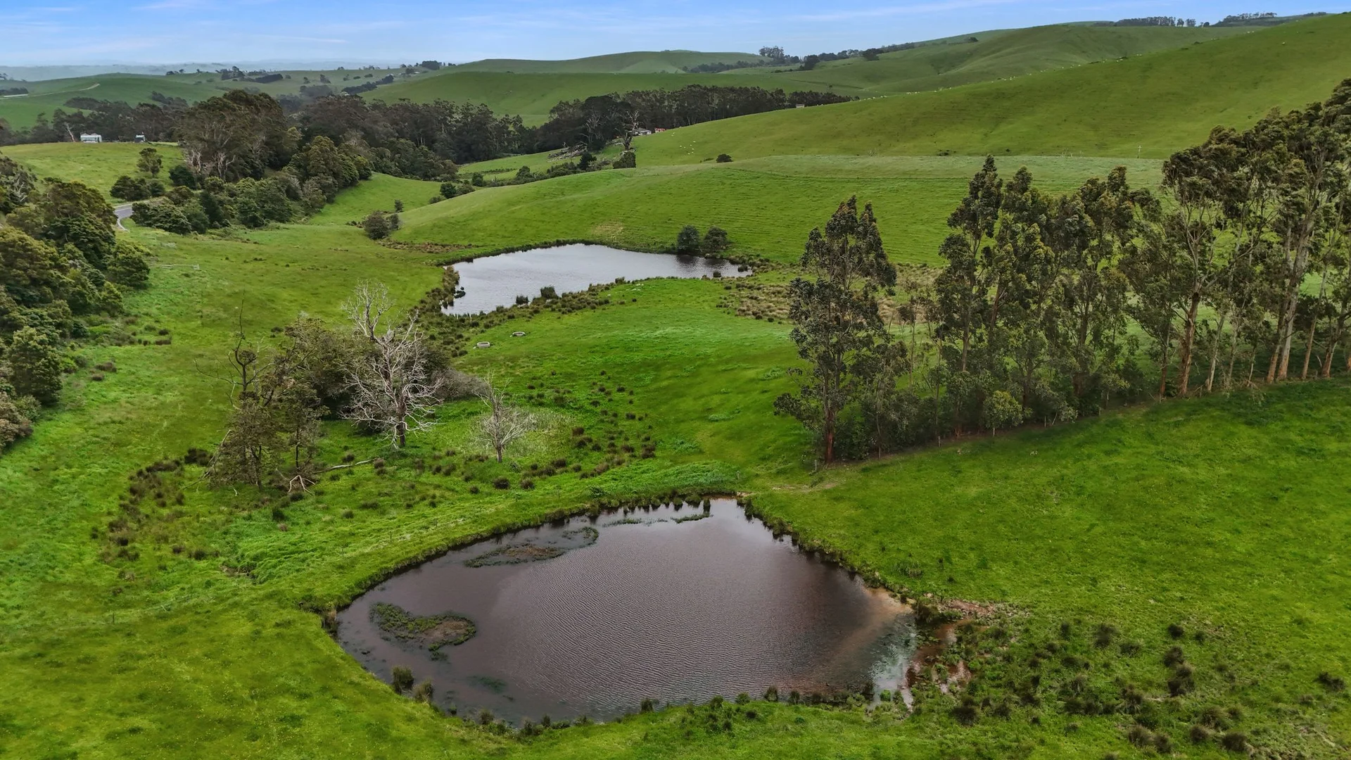 Additional image 26 of 3015 South Gippsland Highway, Stony Creek VIC 3957