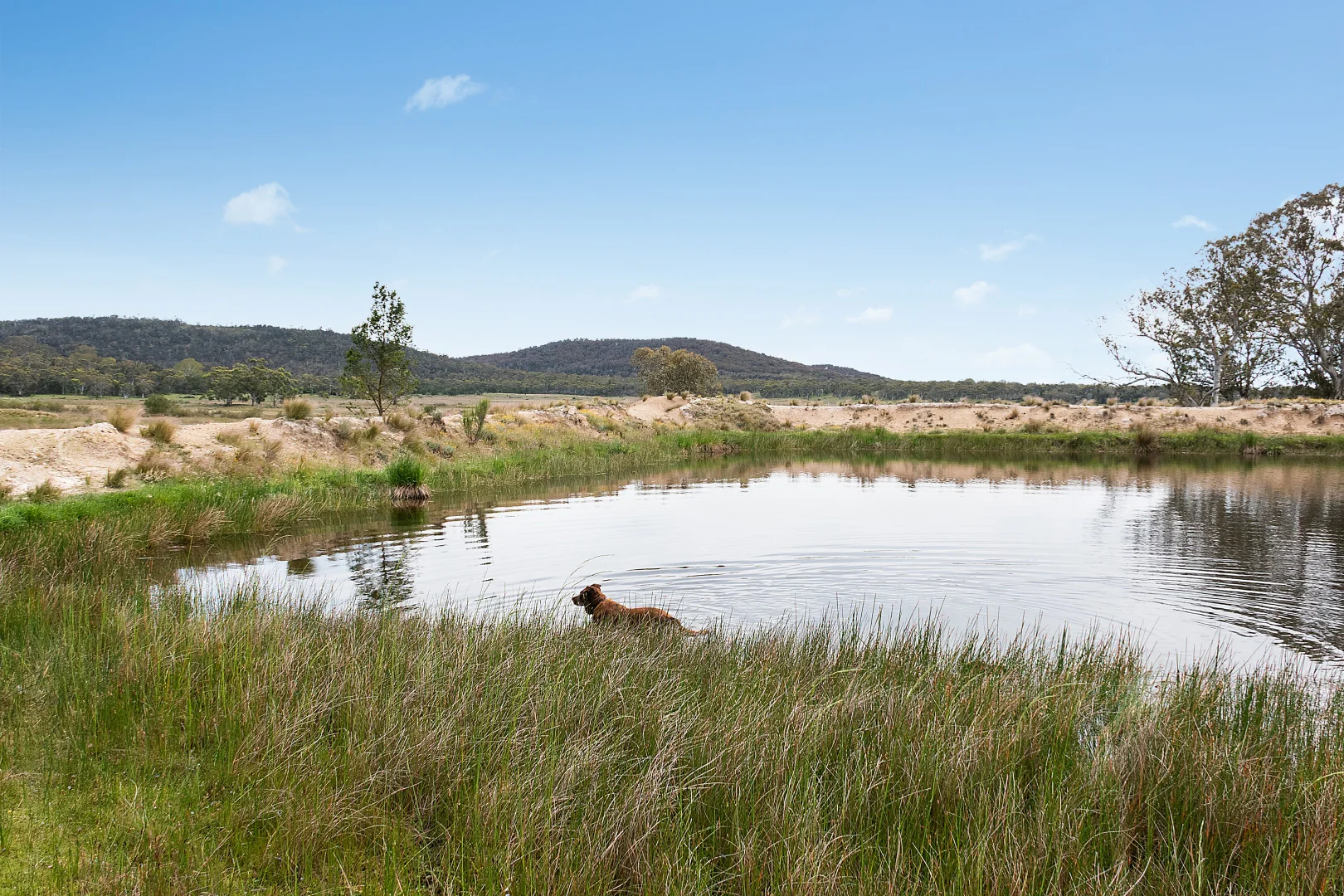 Additional image 11 of 14/371 Mayfield Road, Braidwood NSW 2622