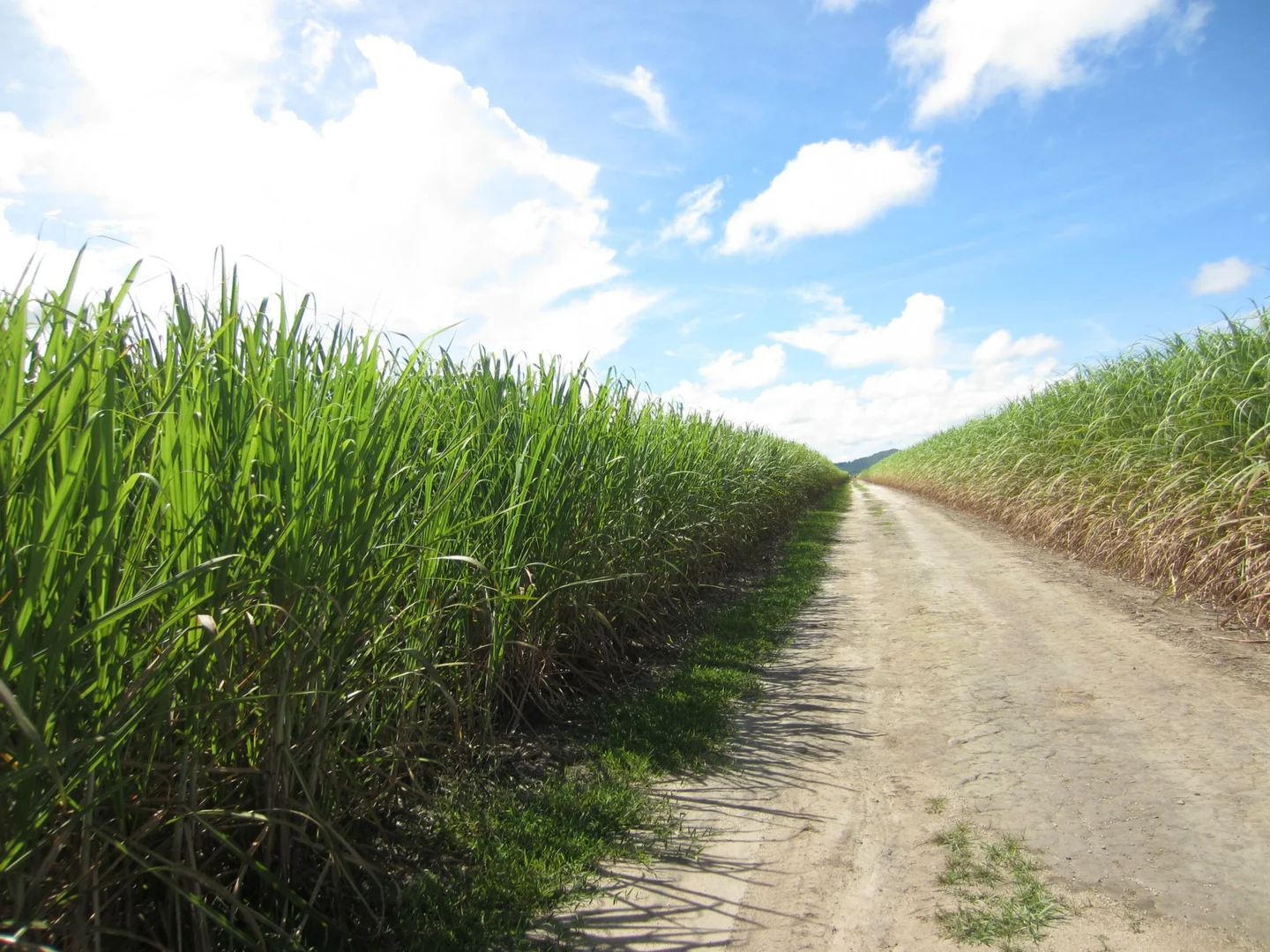 Additional image 11 of Japoonvale QLD 4856