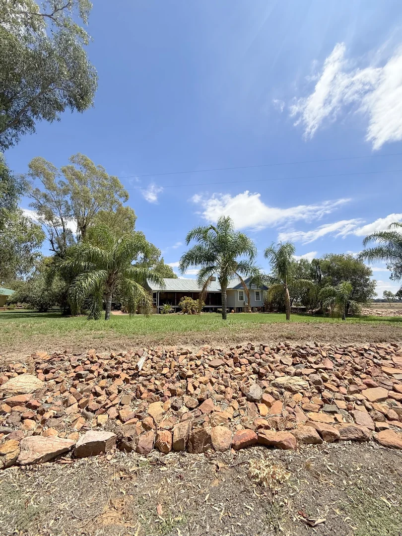Additional image 66 of 506 North Forbes Rd, Condobolin NSW 2877