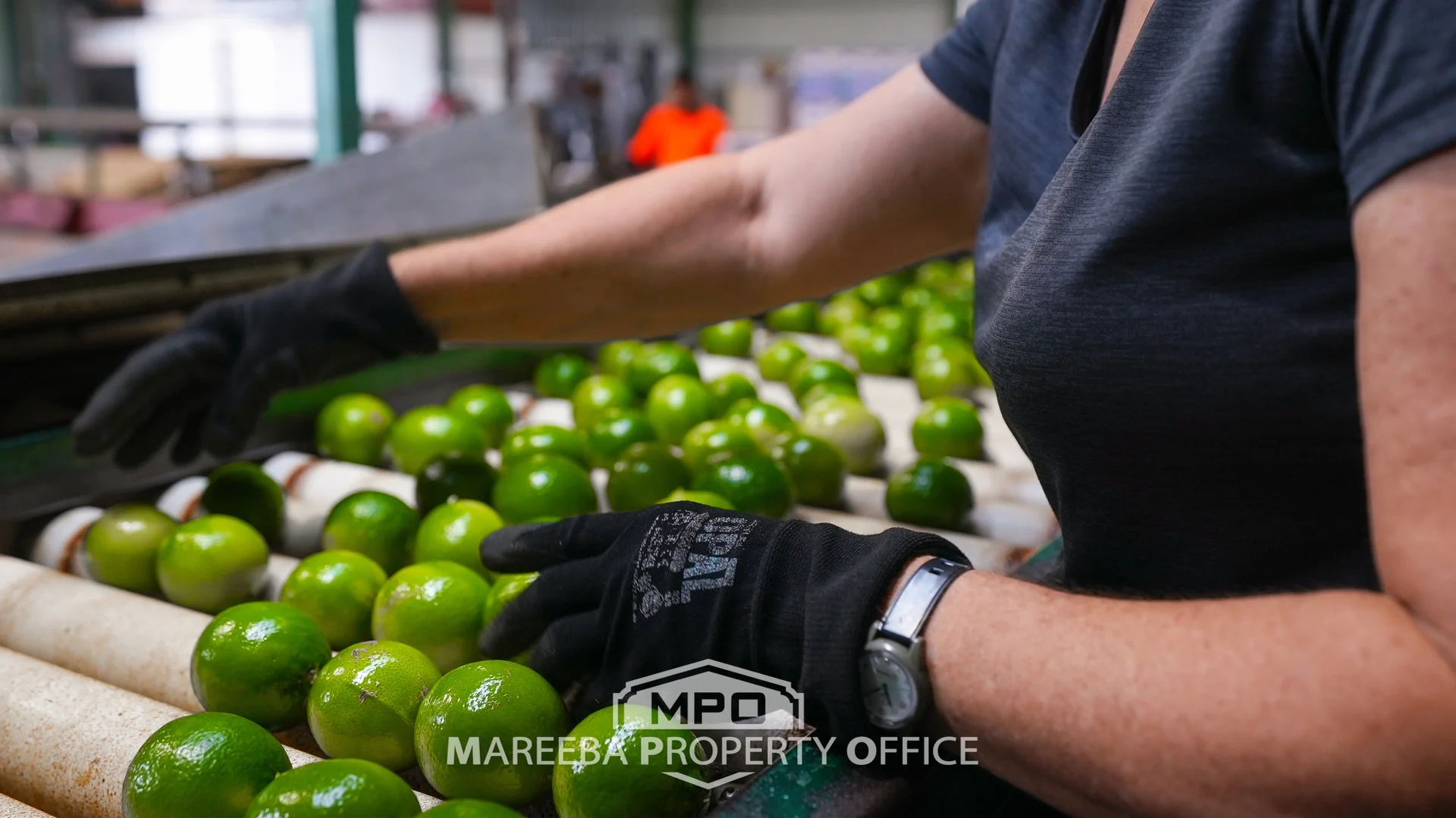 Additional image 16 of 4283 Kennedy Highway, Mareeba QLD 4880