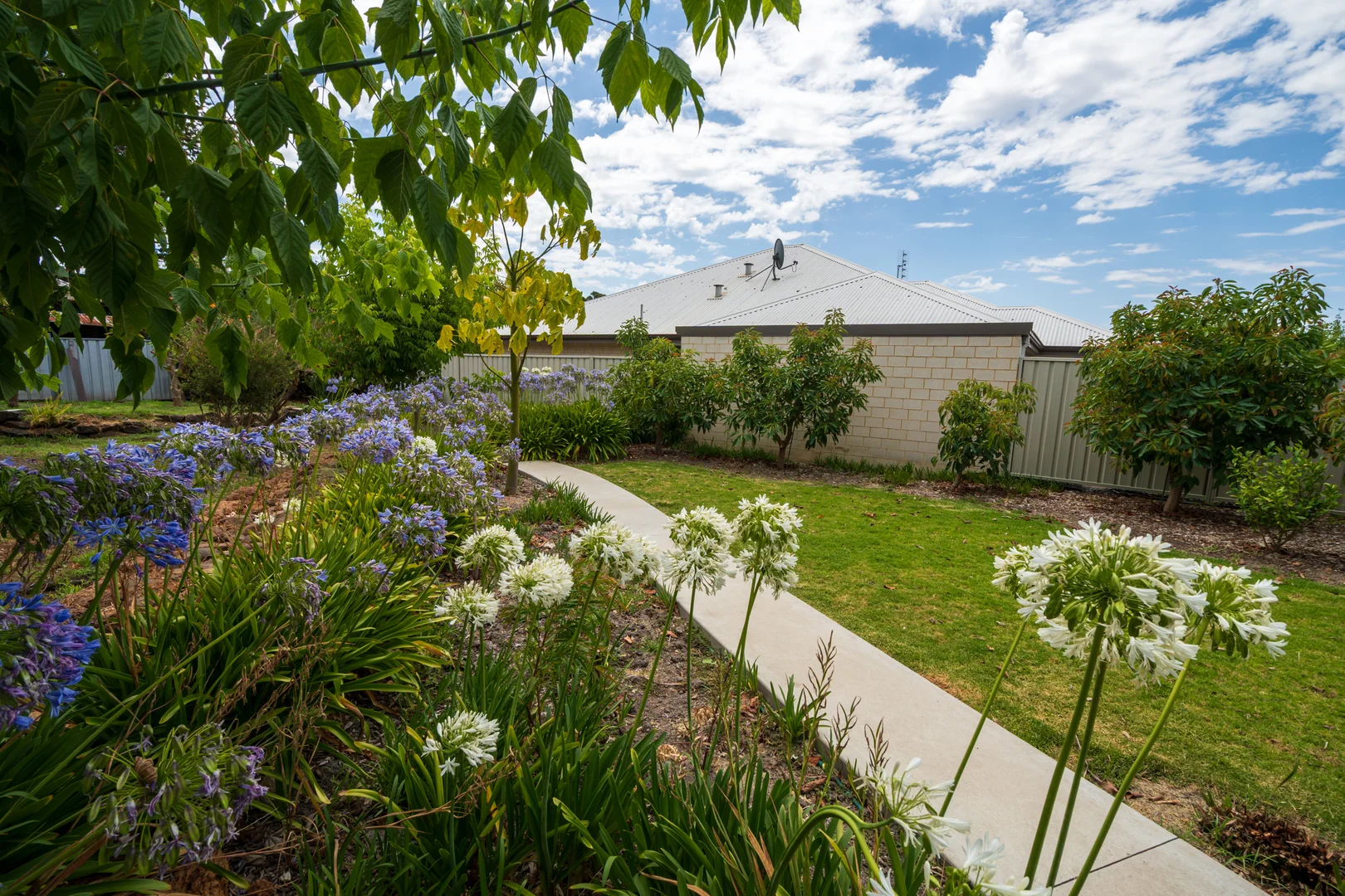 Additional image 21 of 3 Somerville Street, Manjimup WA 6258