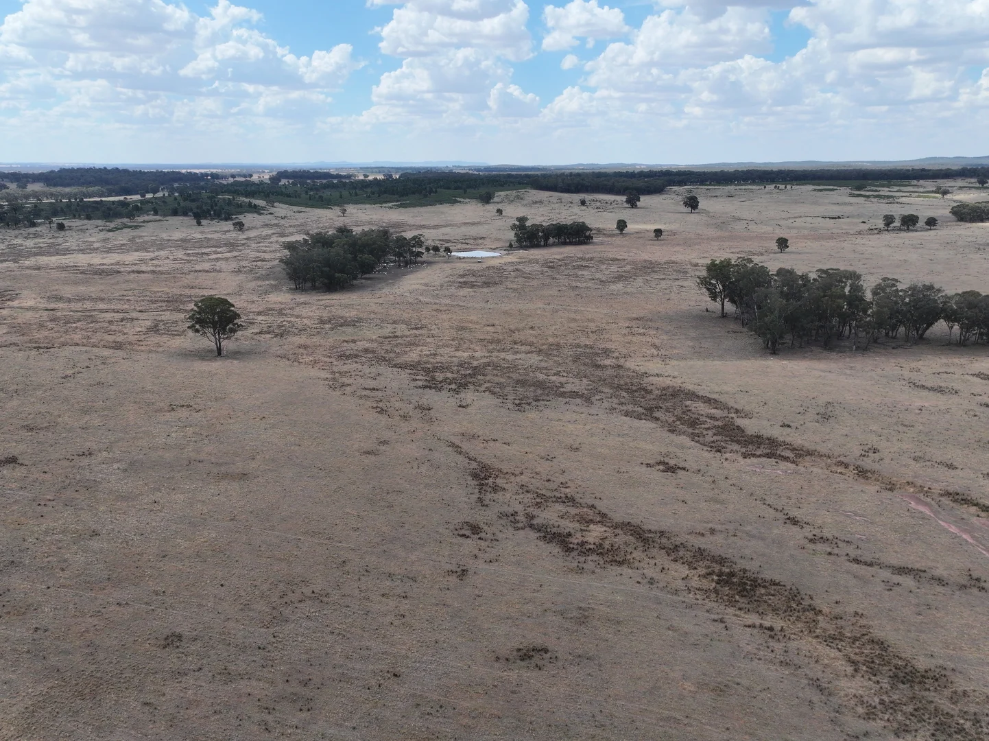 Additional image 7 of 'Quondi', Dirnaseer Road, Combaning NSW 2666