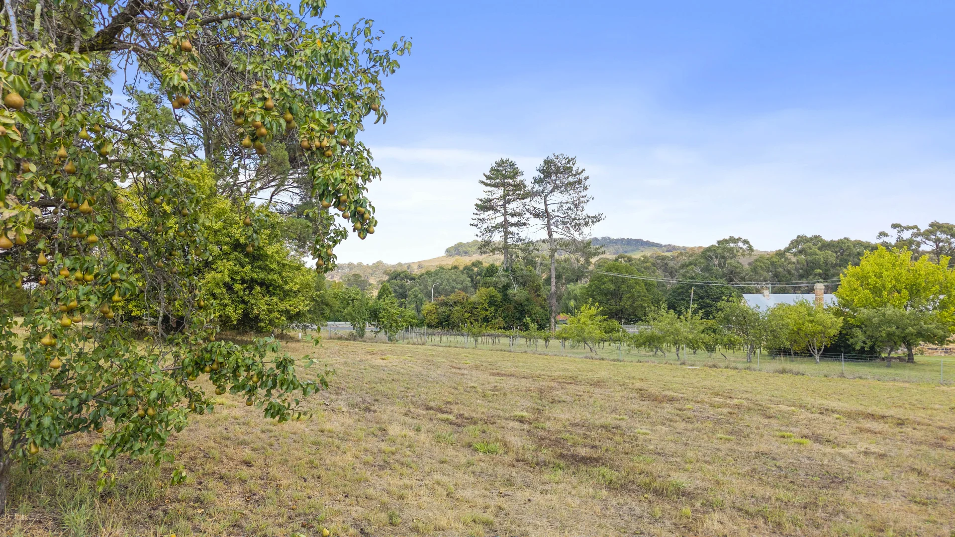 Additional image 3 of 5 Ostler Place, Lidsdale NSW 2790