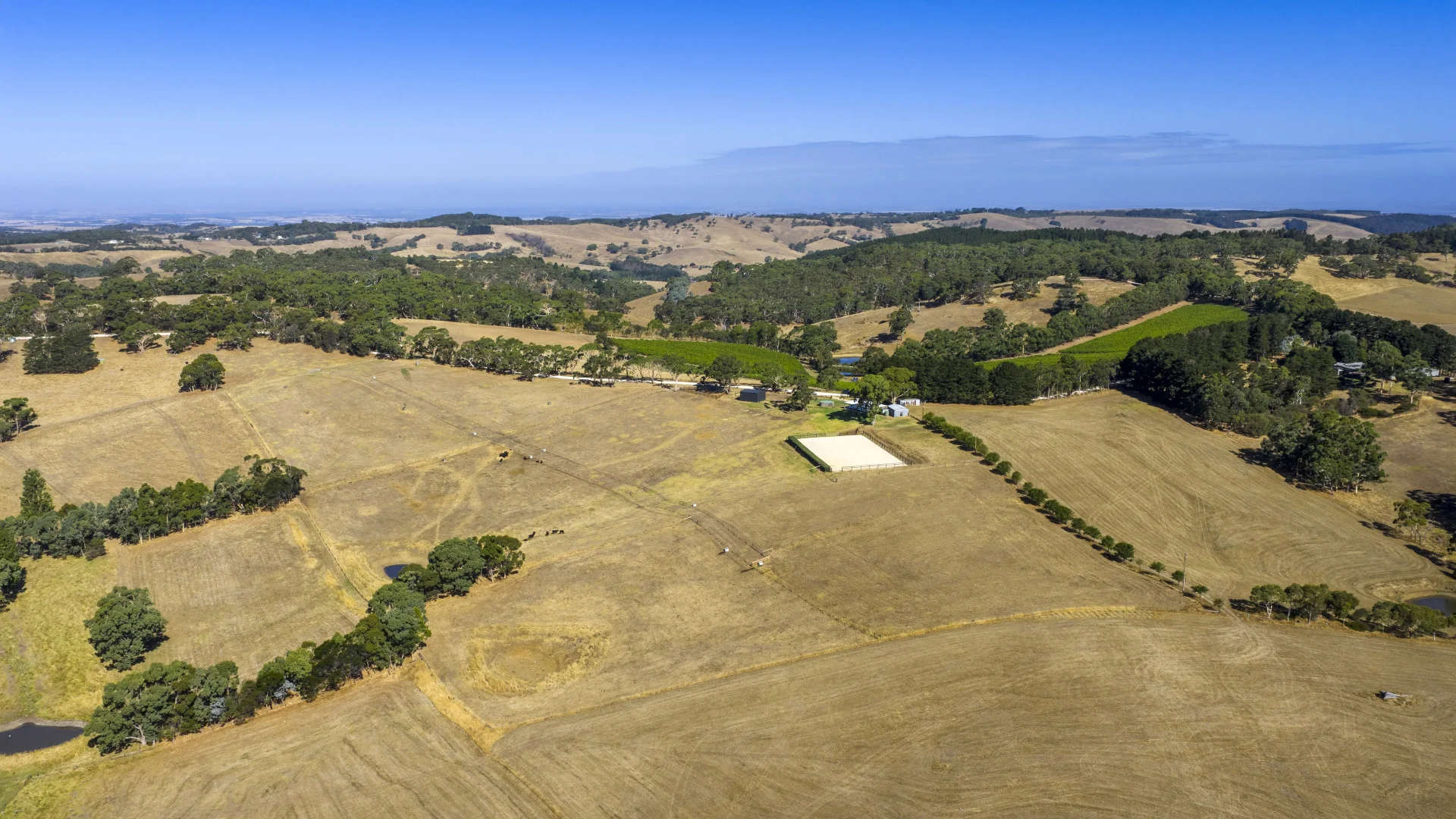 Additional image 78 of 224 Nicol Road, Meadows SA 5201