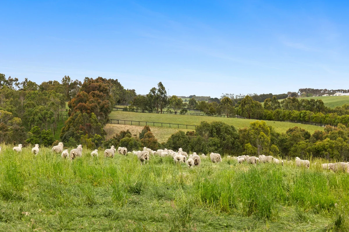 Additional image 21 of 65 Coalmine Road, Winchelsea VIC 3241