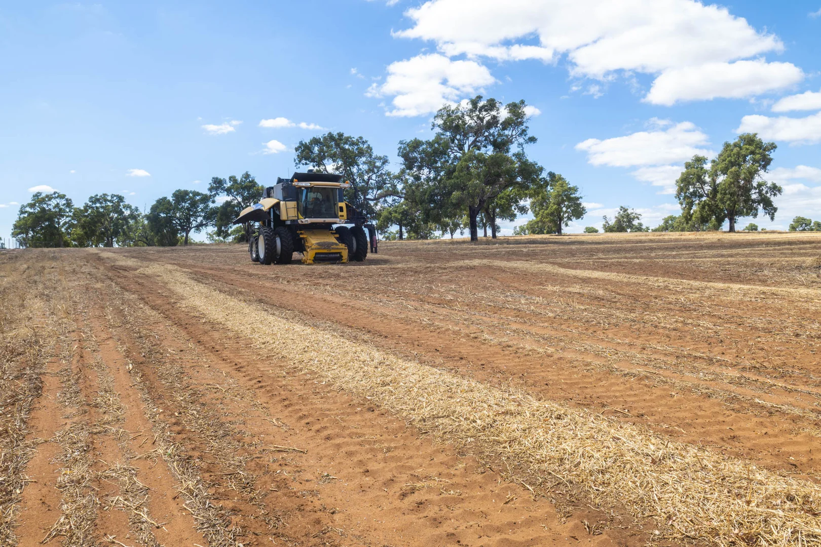 Additional image 8 of 1830 Rowes Road, Dandaragan WA 6507