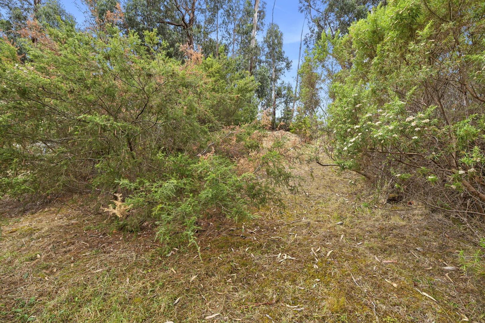 Additional image 5 of 50 Karingal Drive, Wye River VIC 3234