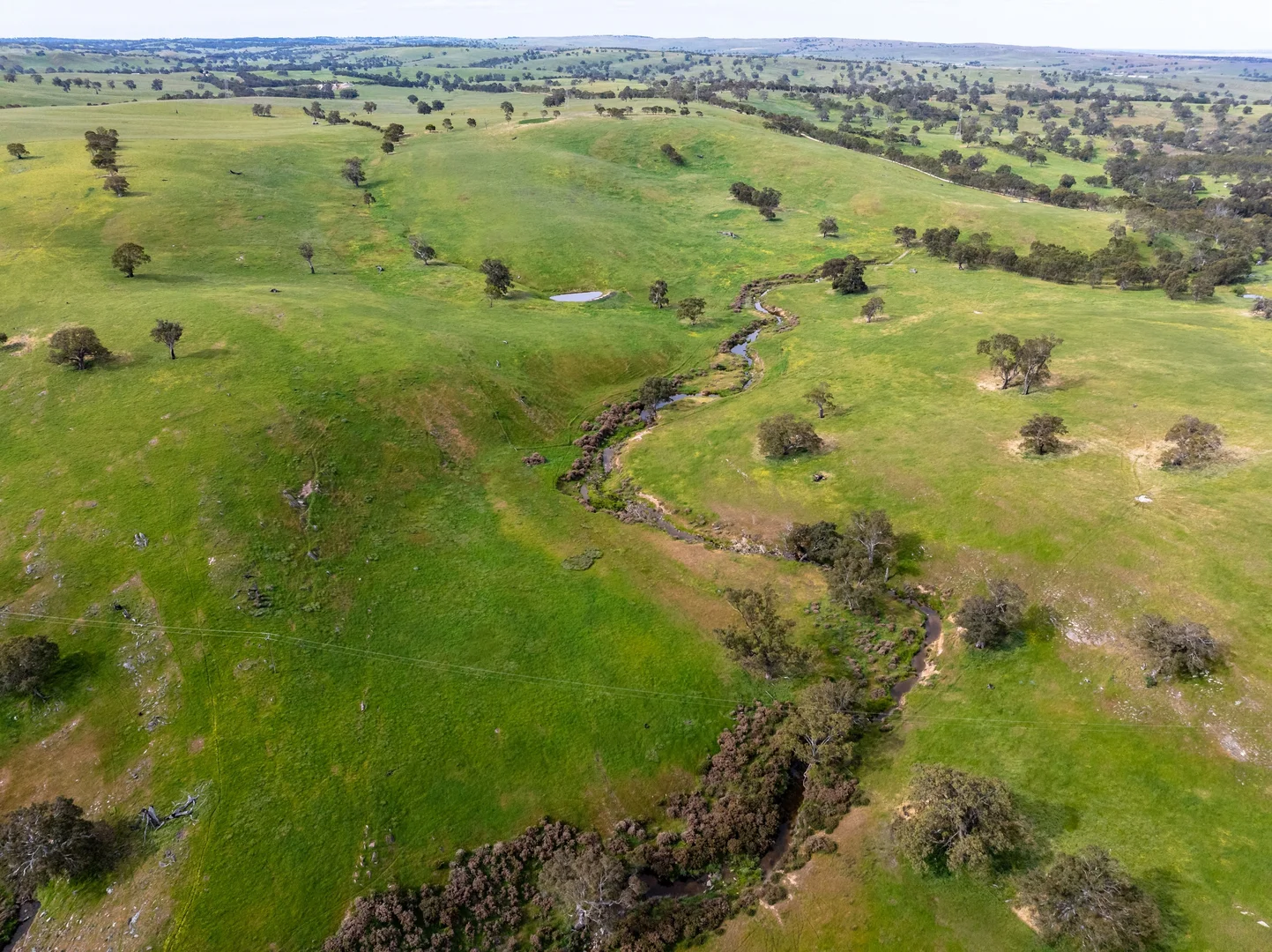 Additional image 10 of 312 Collins Road, Tungkillo SA 5236