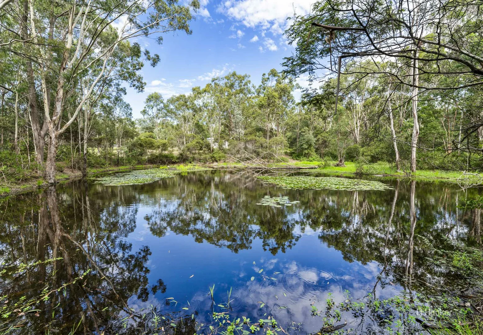 Additional image 13 of 293 Bowman Road, Blackbutt North QLD 4314
