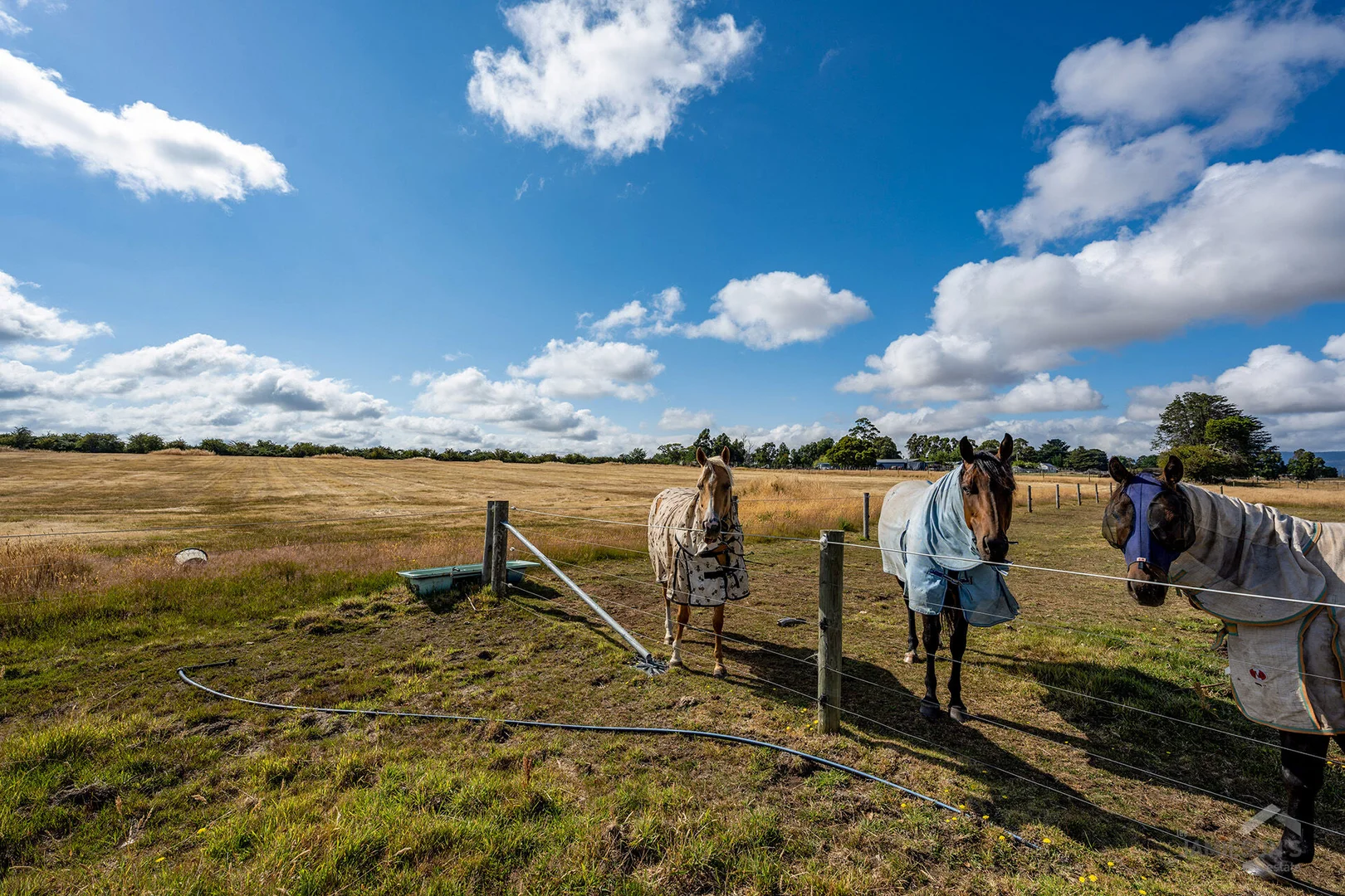 Additional image 11 of 48 Veterans Row, Westbury TAS 7303