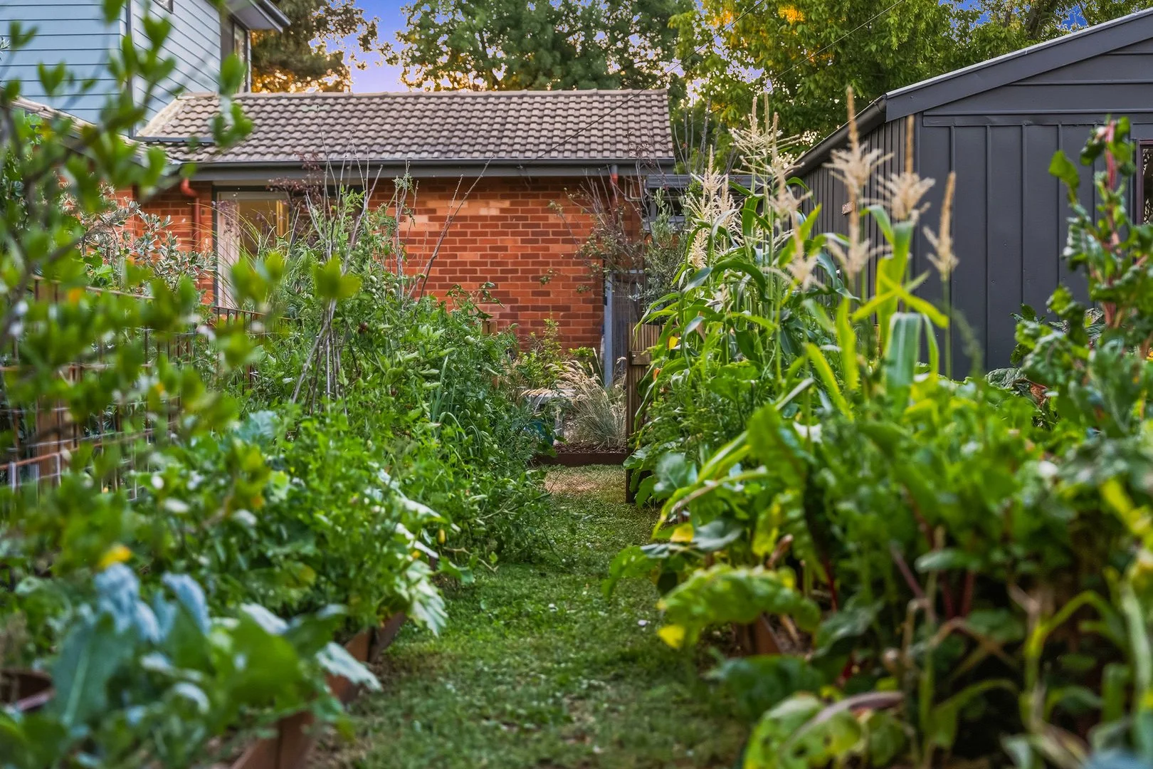 Additional image 28 of 11 Molesworth Street, Watson ACT 2602