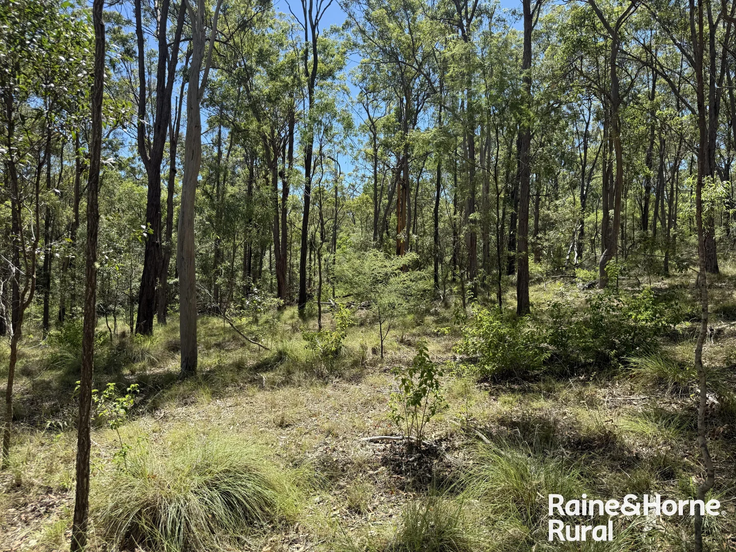 Additional image 3 of Lot 158 Brocklehurst road, Wattle Camp QLD 4615