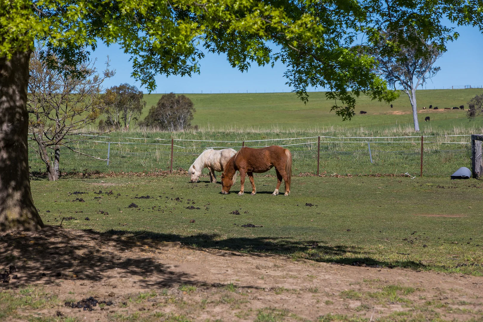 Additional image 20 of 865 Joadja Road, Joadja NSW 2575