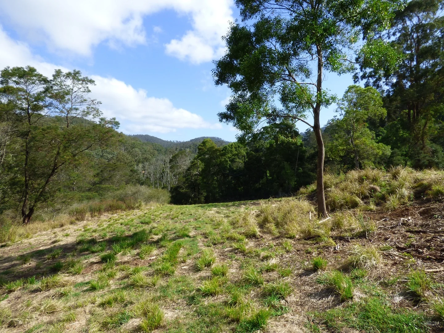 Additional image 10 of Lot 1122 Ruggs Road, Nethercote NSW 2549