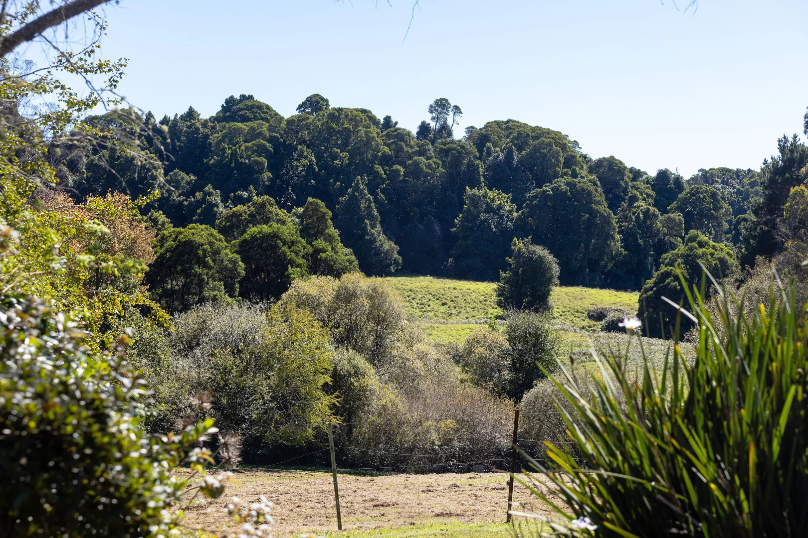 Additional image 20 of 81 Pearsons Lane, Robertson NSW 2577