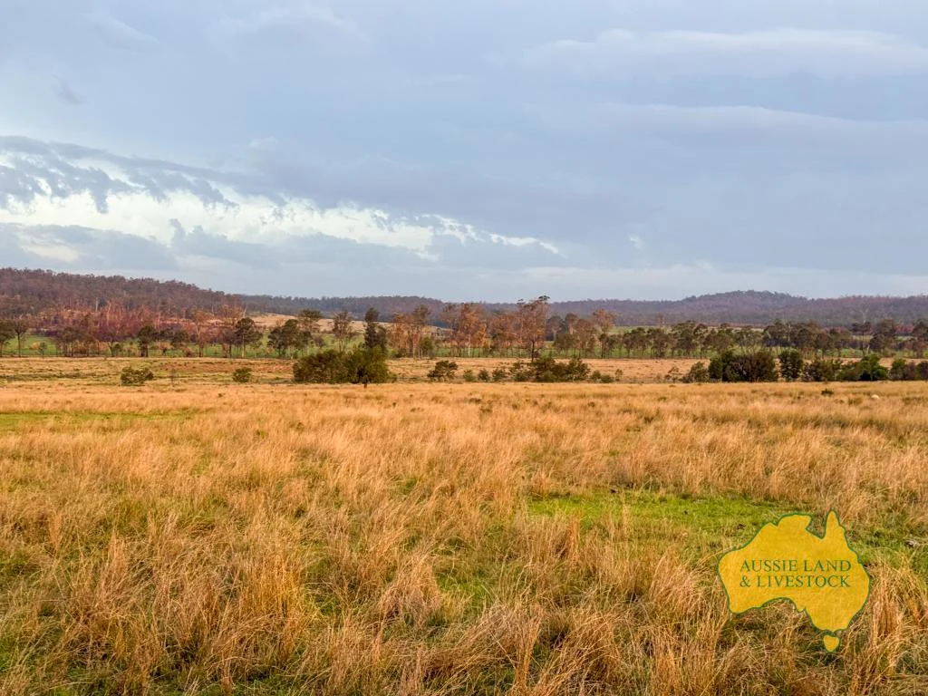 Additional image 4 of 373 Ormonde Road, Monogorilby QLD 4626