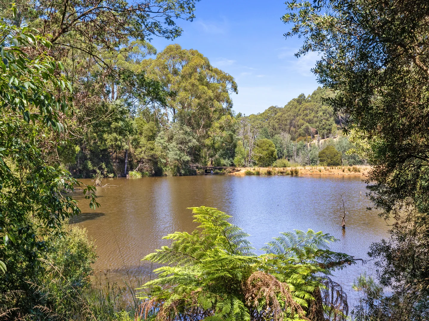 Additional image 28 of 175 Denhams Road, Hallston VIC 3953