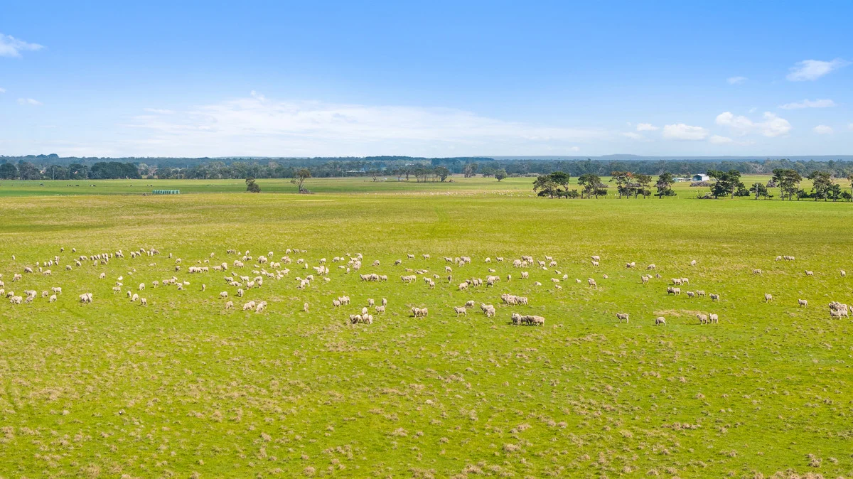 Additional image 5 of 1/144 McNeilly Road, Seaspray VIC 3851