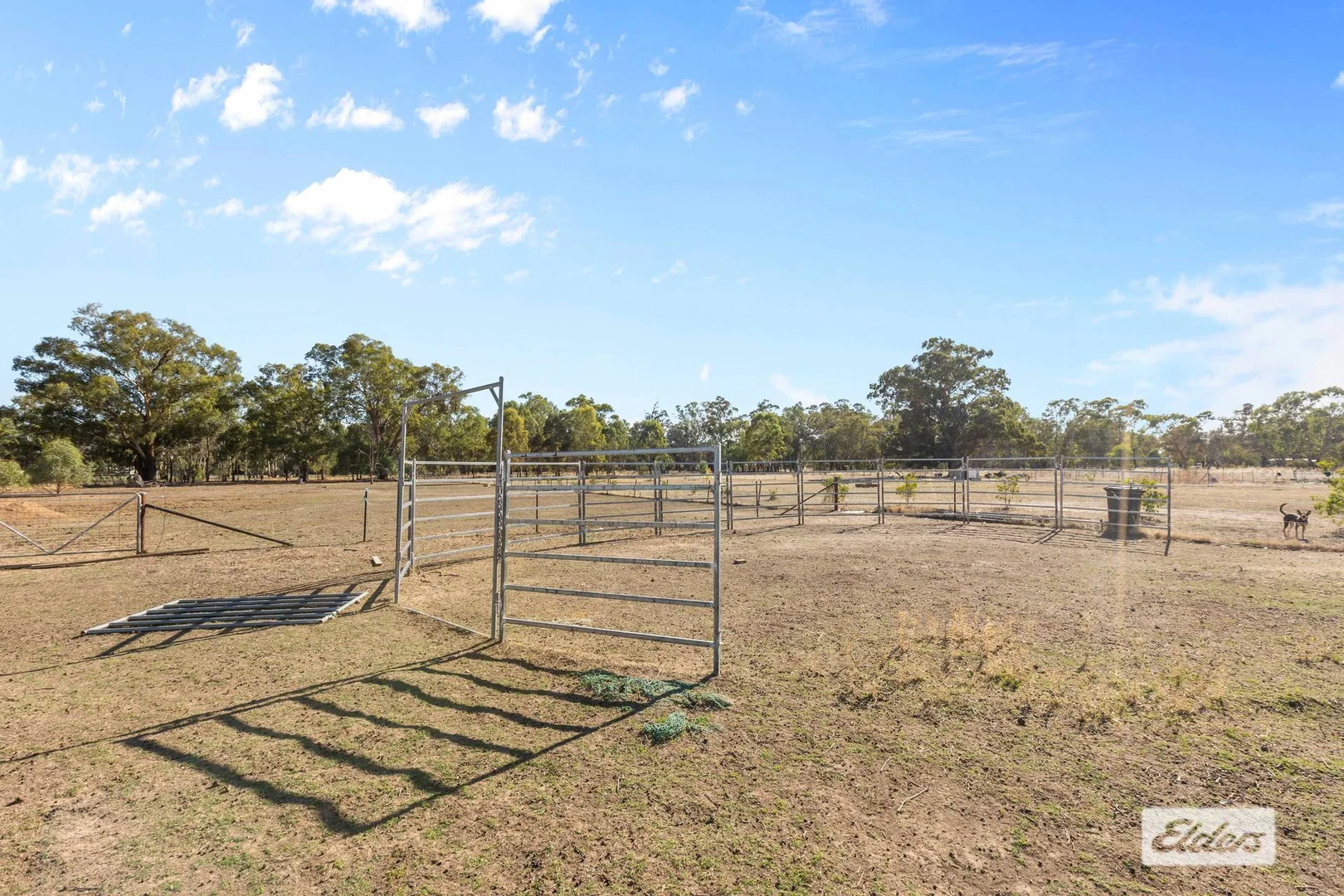 Additional image 7 of 26 Carson Road, The Rock NSW 2655