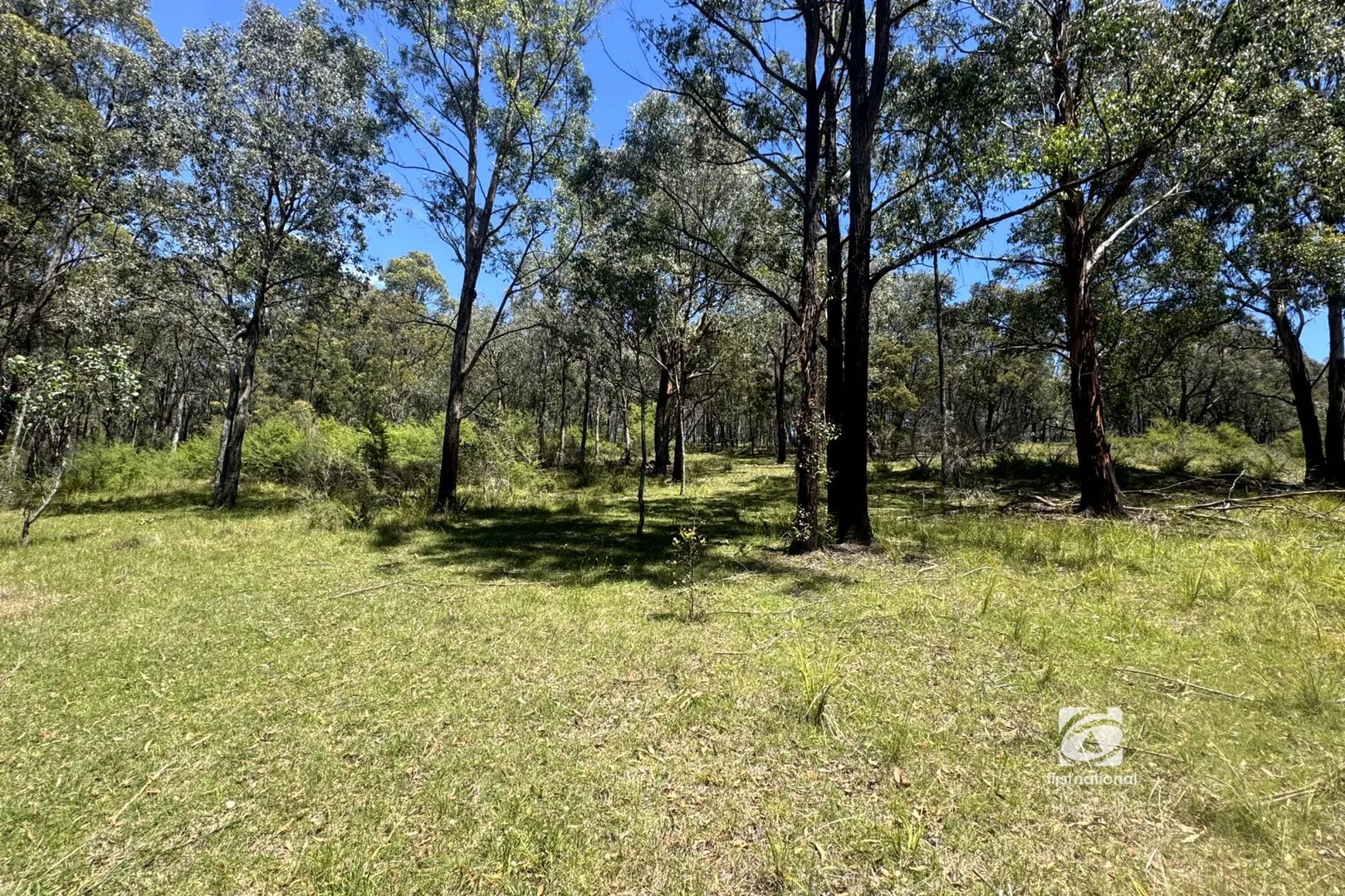 Additional image 3 of 139 Buchan South Road, Buchan South VIC 3885