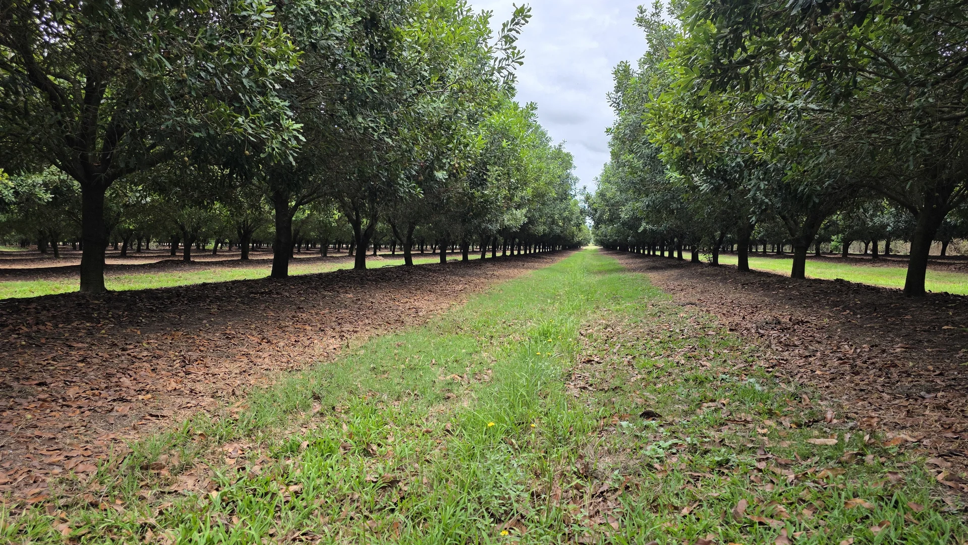 Additional image 4 of Lot 21 Moylans Lane, Empire Vale NSW 2478